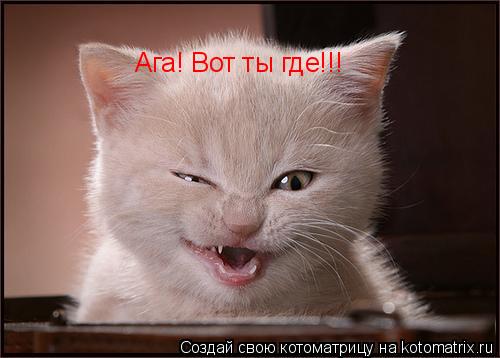 Котоматрица: Ага! Вот ты где!!!