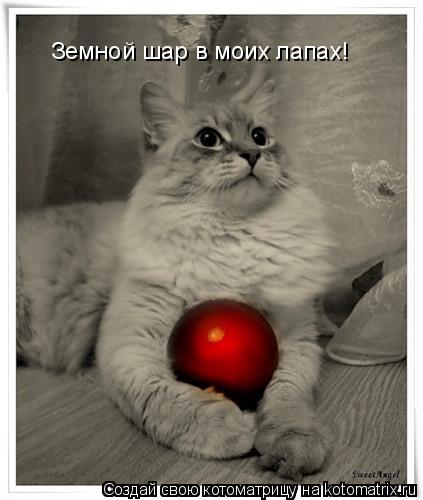 Земной шар в моих лапах!... Котоматрица: Земной шар в моих лапах!