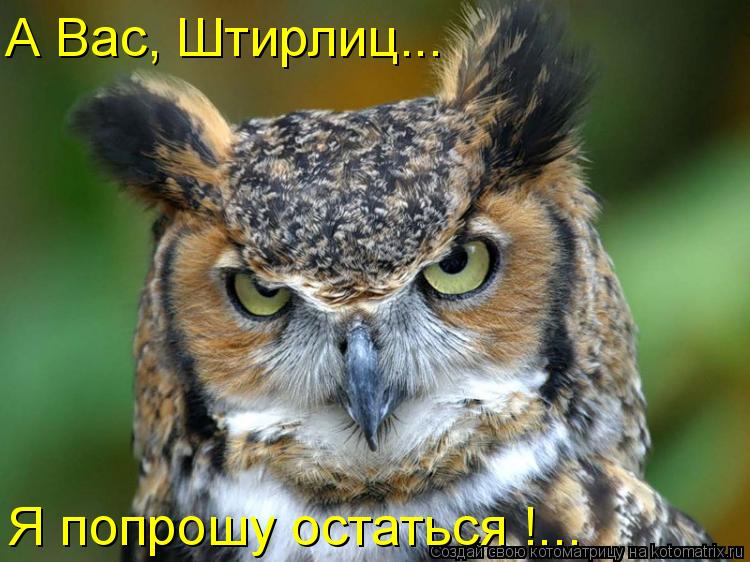 А Вас, Штирлиц... Я попрошу остаться !...... Котоматрица: А Вас, Штирлиц... Я попрошу остаться !...