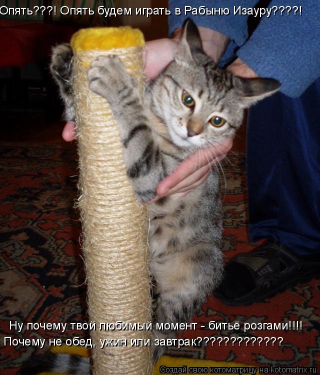 Ну почему твой любимый момент - битьё розгами!!!! Почему не обед, ужин или завтрак????????????? Опять... Котоматрица: Ну почему твой любимый момент - битьё розгами!!!! Почему не обед, ужин или завтрак????????????? Опять???! Опять будем играть в Рабыню Изауру????!
