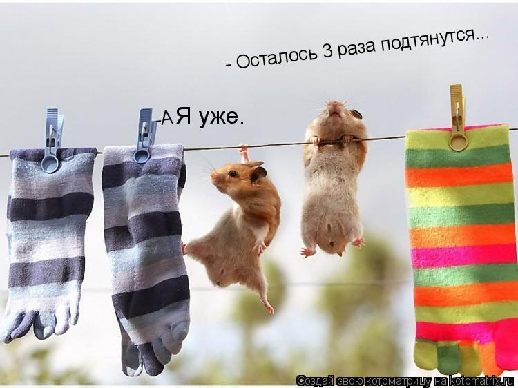 - Осталось 3 раза подтянутся... -А Я уже.... Котоматрица: - Осталось 3 раза подтянутся... -А Я уже.