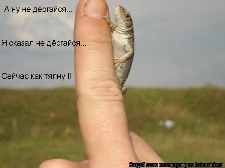 Котоматрица: А ну не дёргайся... Я сказал не дёргайся... Сейчас как тяпну!!!