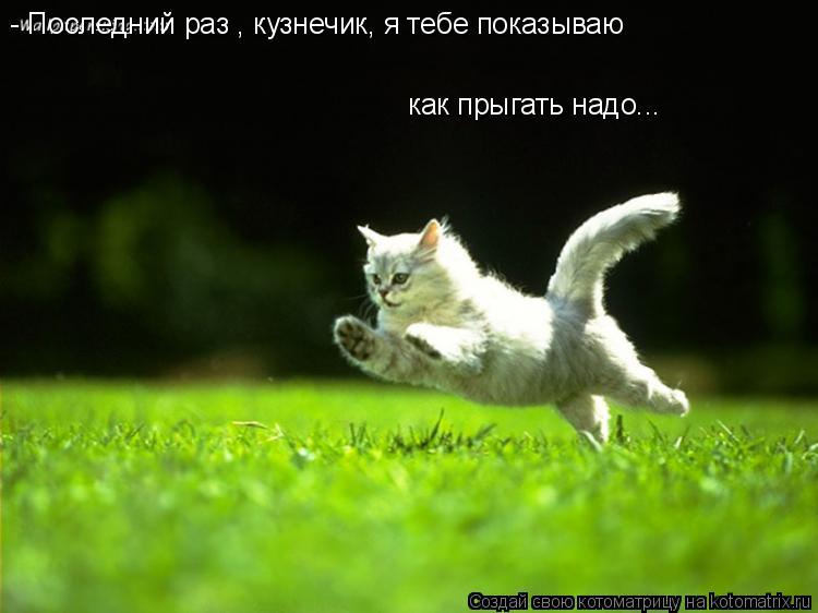 - Последний раз , кузнечик, я тебе показываю как прыгать надо...... Котоматрица: - Последний раз , кузнечик, я тебе показываю как прыгать надо...