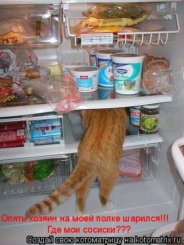 Котоматрица: Опять хозяин на моей полке шарился!!! Где мои сосиски???