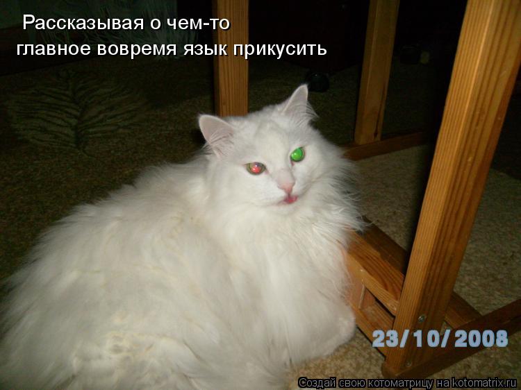 Рассказывая о чем-то главное вовремя язык прикусить... Котоматрица: Рассказывая о чем-то главное вовремя язык прикусить