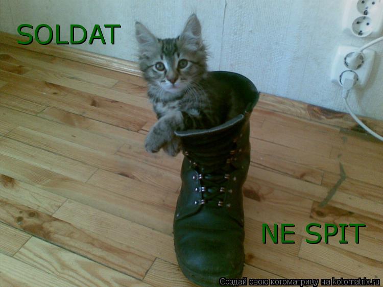 Котоматрица: SOLDAT NE SPIT