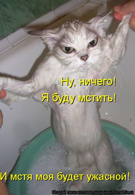 Котоматрица: Ну, ничего! Я буду мстить! И мстя моя будет ужасной!