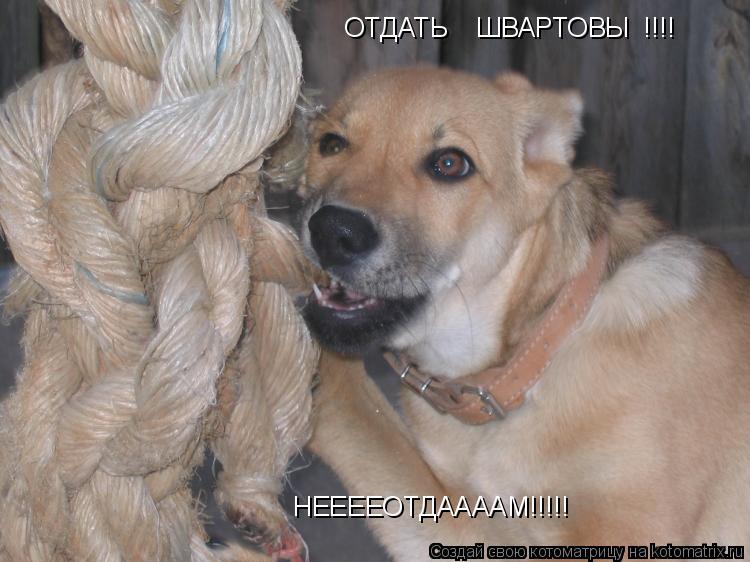 ОТДАТЬ ШВАРТОВЫ !!!! НЕЕЕЕОТДААААМ!!!!!... Котоматрица: ОТДАТЬ ШВАРТОВЫ !!!! НЕЕЕЕОТДААААМ!!!!!