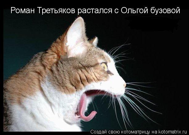 Роман Третьяков растался с Ольгой бузовой... Котоматрица: Роман Третьяков растался с Ольгой бузовой