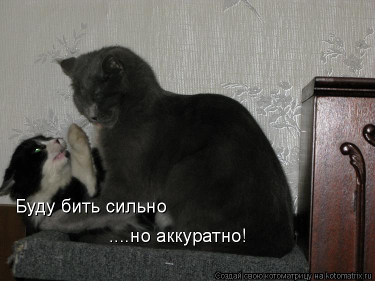 Буду бить сильно ....но аккуратно!... Котоматрица: Буду бить сильно ....но аккуратно!