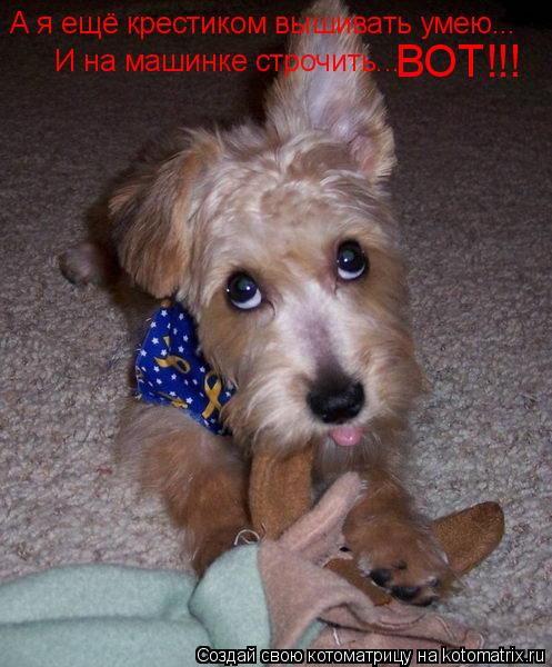 Котоматрица: И на машинке строчить... А я ещё крестиком вышивать умею... ВОТ!!!