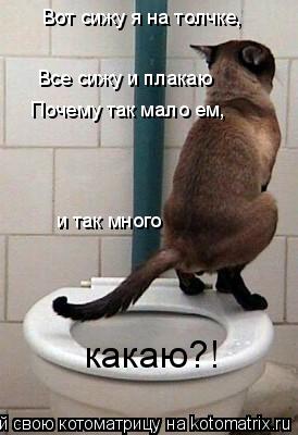 Вот сижу я на толчке, Все сижу и плакаю Почему так мало ем, и так много какаю?!... Котоматрица: Вот сижу я на толчке, Все сижу и плакаю Почему так мало ем, и так много какаю?!