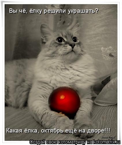 Котоматрица: Вы чё, ёлку решили украшать? Какая ёлка, октябрь ещё на дворе!!!