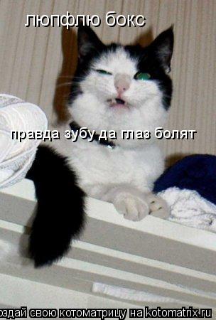 люпфлю бокс правда зубу да глаз болят... Котоматрица: люпфлю бокс правда зубу да глаз болят