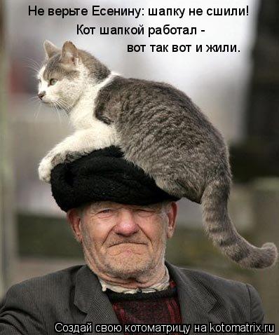 Котоматрица: Не верьте Есенину: шапку не сшили! Кот шапкой работал -  вот так вот и жили.