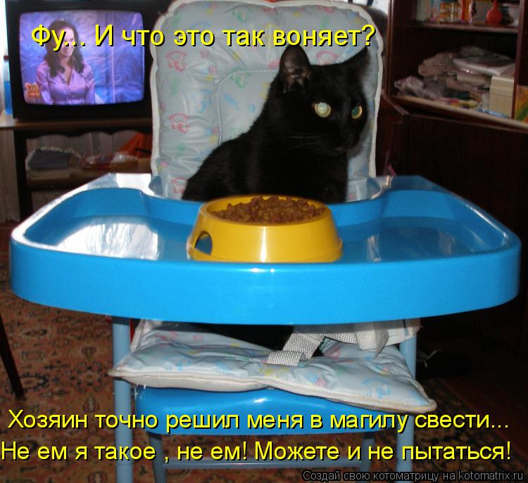Котоматрица: Фу... И что это так воняет?    Хозяин точно решил меня в магилу свести... Не ем я такое , не ем! Можете и не пытаться!