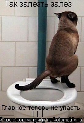 Котоматрица: Так залезть залез Главное теперь не упасть ! ! !