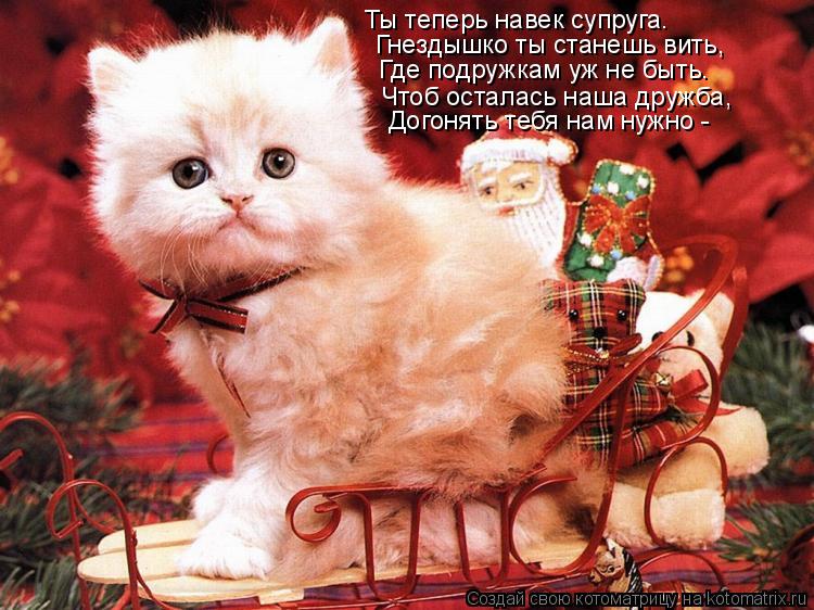 Котоматрица: Ты теперь навек супруга. Гнездышко ты станешь вить, Где подружкам уж не быть. Чтоб осталась наша дружба, Догонять тебя нам нужно -