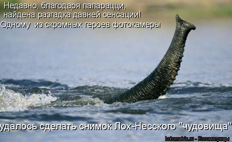 Котоматрица: Недавно, благодаря папарацци,  найдена разгадка давней сенсации! Одному  из скромных героев фотокамеры удалось сделать снимок Лох-Несского