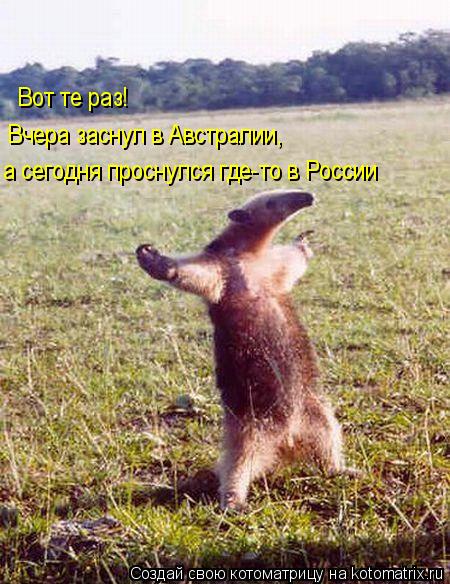 Вот те раз! Вчера заснул в Австралии, а сегодня проснулся где-то в России... Котоматрица: Вот те раз! Вчера заснул в Австралии, а сегодня проснулся где-то в России