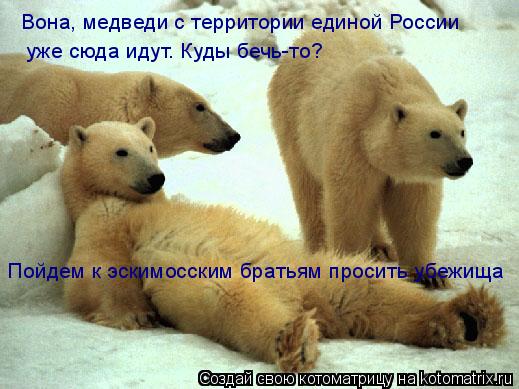 Вона, медведи с территории единой России уже сюда идут. Куды бечь-то? уже сюда идут. Куды бечь-то? По... Котоматрица: Вона, медведи с территории единой России уже сюда идут. Куды бечь-то? уже сюда идут. Куды бечь-то? Пойдем к эскимосским братьям просить убежи