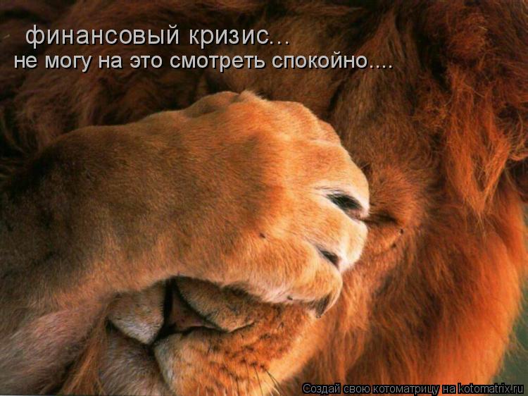 финансовый кризис... не могу на это смотреть спокойно....... Котоматрица: финансовый кризис... не могу на это смотреть спокойно....