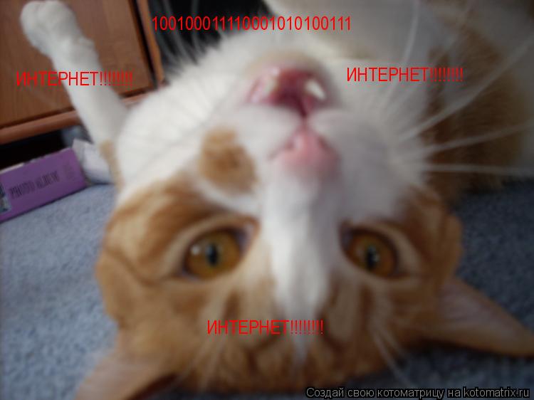 Котоматрица: 100100011110001010100111 ИНТЕРНЕТ!!!!!!!! ИНТЕРНЕТ!!!!!!!! ИНТЕРНЕТ!!!!!!!!