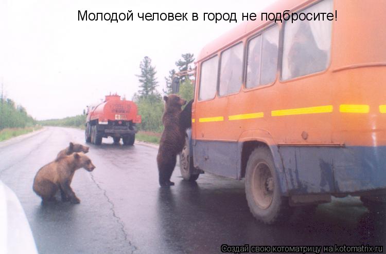 Котоматрица: Молодой человек в город не подбросите!