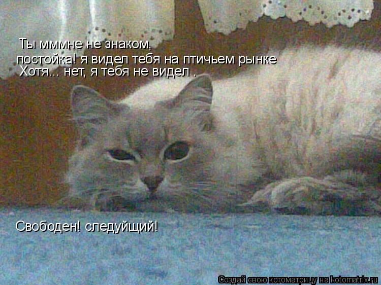 Котоматрица: Ты мммне не знаком,  постойка! я видел тебя на птичьем рынке  Хотя... нет, я тебя не видел . Свободен! следуйщий!