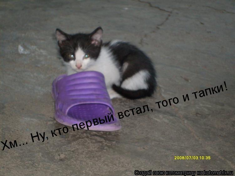 Котоматрица: Хм... Ну, кто первый встал, того и тапки!