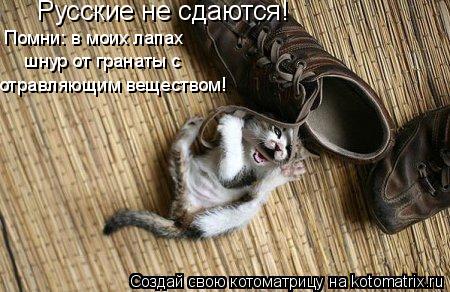 Русские не сдаются! Помни: в моих лапах шнур от гранаты с отравляющим веществом!... Котоматрица: Русские не сдаются! Помни: в моих лапах шнур от гранаты с отравляющим веществом!
