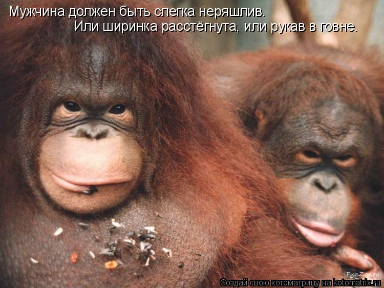 Мужчина должен быть слегка неряшлив. Или ширинка расстёгнута, или рукав в говне.... Котоматрица: Мужчина должен быть слегка неряшлив. Или ширинка расстёгнута, или рукав в говне.