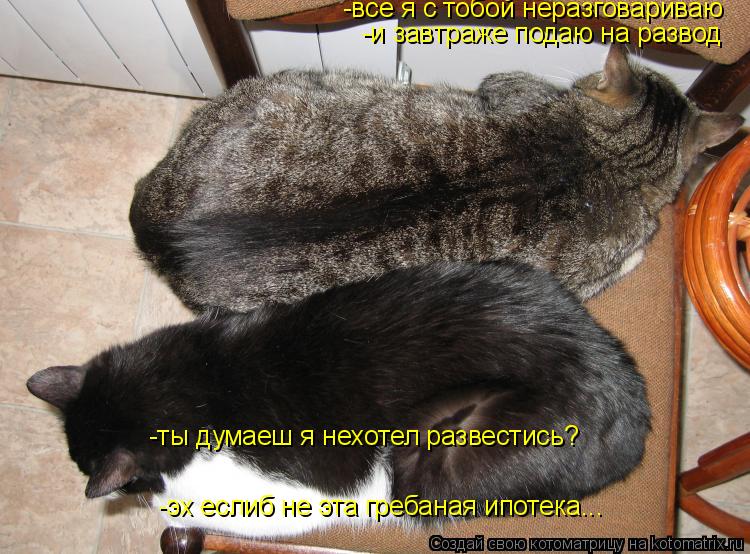 -все я с тобой неразговариваю -и завтраже подаю на развод -ты думаеш я нехотел развестись? -эх еслиб ... Котоматрица: -все я с тобой неразговариваю -и завтраже подаю на развод -ты думаеш я нехотел развестись? -эх еслиб не эта гребаная ипотека...