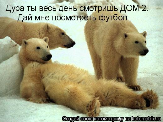 Дура ты весь день смотришь ДОМ 2. Дай мне посмотреть футбол.... Котоматрица: Дура ты весь день смотришь ДОМ 2. Дай мне посмотреть футбол.