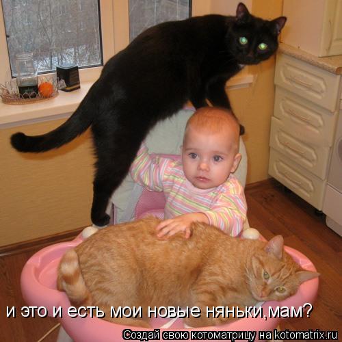 и это и есть мои новые няньки,мам?... Котоматрица: и это и есть мои новые няньки,мам?