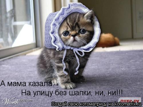 А мама казала: На улицу без шапки, ни, ни!!!... Котоматрица: А мама казала: На улицу без шапки, ни, ни!!!
