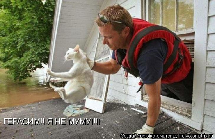 ГЕРАСИМ!! Я НЕ МУМУ!!!!... Котоматрица: ГЕРАСИМ!! Я НЕ МУМУ!!!!
