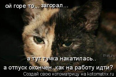 ой горе то... загорал... а тут тучка накатилась.. а отпуск окончен..как на работу идти?... Котоматрица: ой горе то... загорал... а тут тучка накатилась.. а отпуск окончен..как на работу идти?