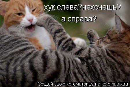 хук слева?нехочешь? а справа?... Котоматрица: хук слева?нехочешь? а справа?