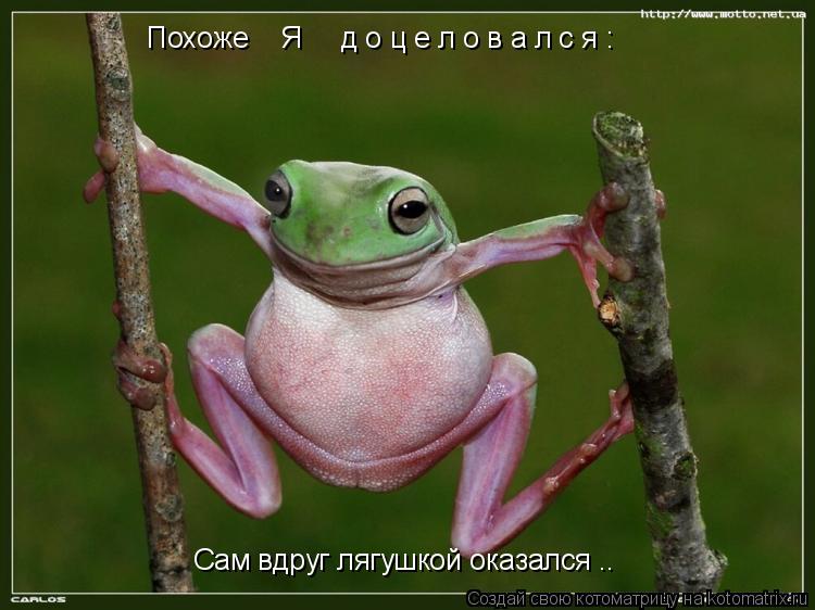 Похоже Я д о ц е л о в а л с я : Сам вдруг лягушкой оказался ..... Котоматрица: Похоже Я д о ц е л о в а л с я : Сам вдруг лягушкой оказался ..