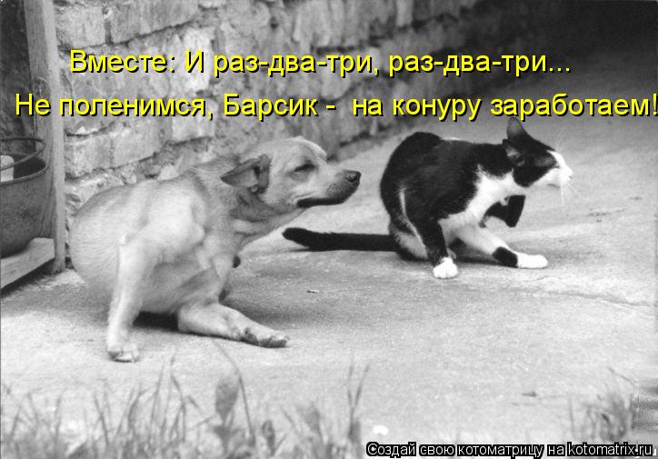 Котоматрица: Вместе: И раз-два-три, раз-два-три... Не поленимся, Барсик -  на конуру заработаем!