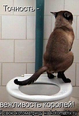 Точность - вежливость королей!... Котоматрица: Точность - вежливость королей!