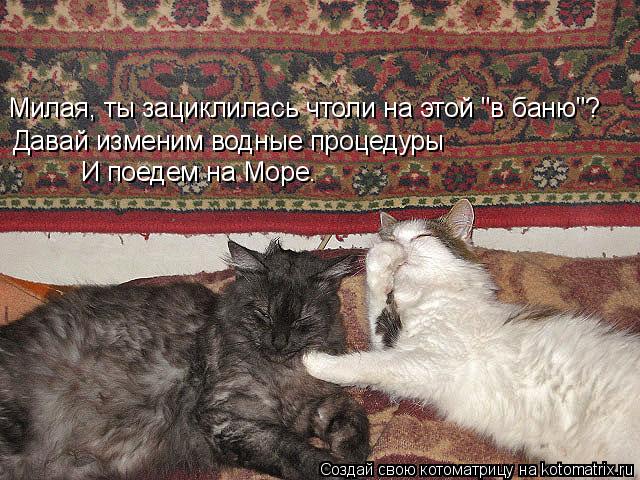 Милая, ты зациклилась чтоли на этой "в баню"? Давай изменим водные процедуры И поедем на Море.... Котоматрица: Милая, ты зациклилась чтоли на этой "в баню"? Давай изменим водные процедуры И поедем на Море.