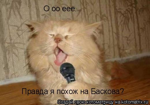 Котоматрица: О оо еее... Правда я похож на Баскова?