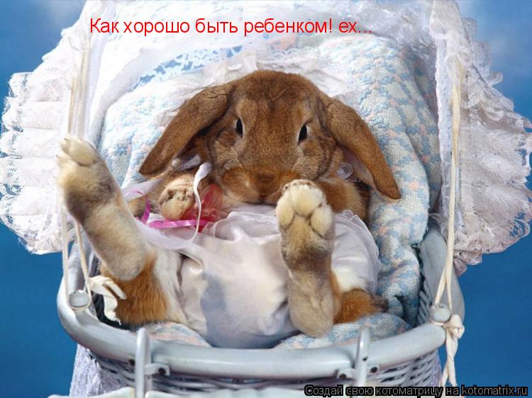 Котоматрица: Как хорошо быть ребенком! ех...