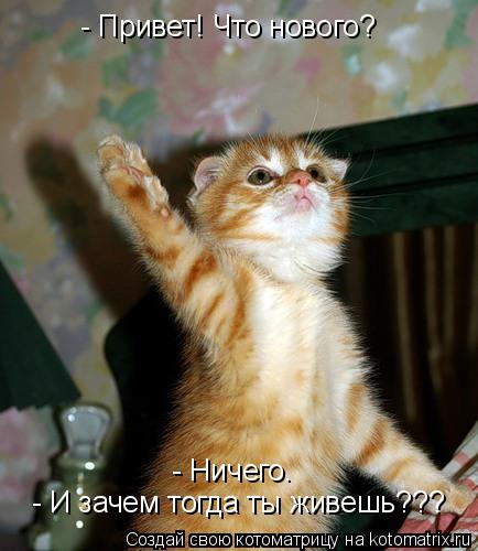 - Привет! Что нового? - Ничего. - И зачем тогда ты живешь???... Котоматрица: - Привет! Что нового? - Ничего. - И зачем тогда ты живешь???