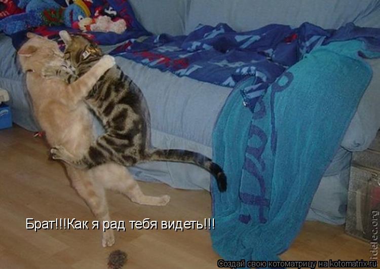 Брат!!!Как я рад тебя видеть!!!... Котоматрица: Брат!!!Как я рад тебя видеть!!!