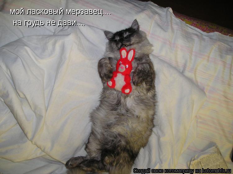 Котоматрица: мой ласковый мерзавец.... на грудь не дави....