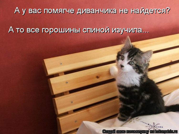 А у вас помягче диванчика не найдется? А то все горошины спиной изучила...... Котоматрица: А у вас помягче диванчика не найдется? А то все горошины спиной изучила...