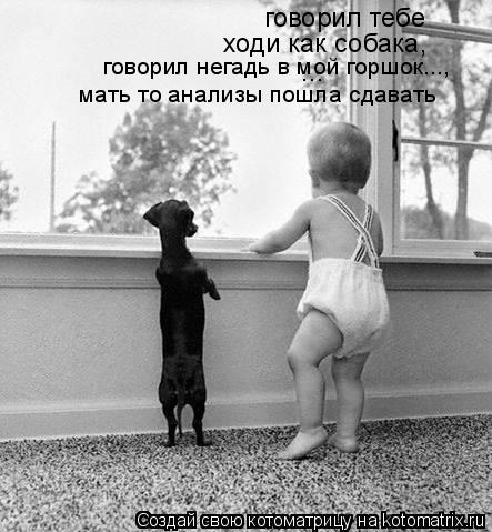 Котоматрица: ... говорил тебе ходи как собака, говорил негадь в мой горшок..., мать то анализы пошла сдавать